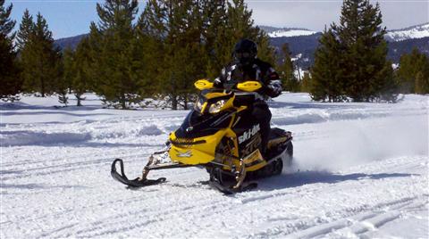 Ski-Doo 