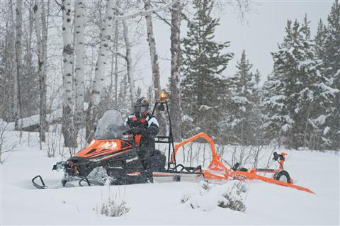 Bearcat Z1 XT Groomer Special