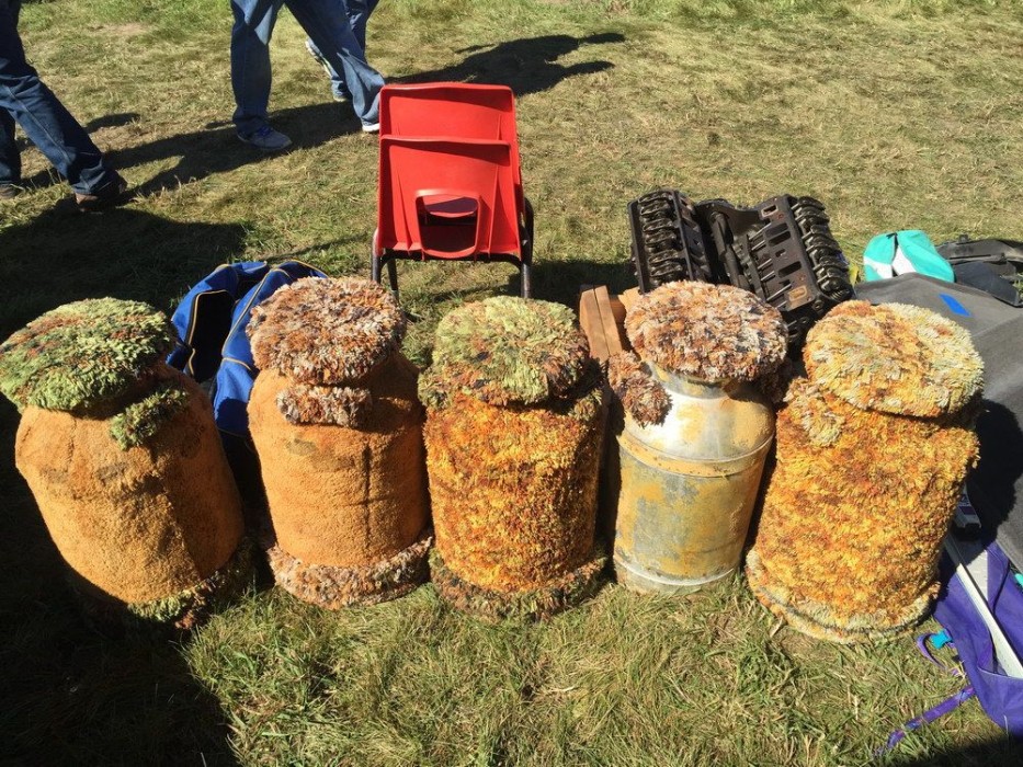 shaggy-carpeted-bar-stools